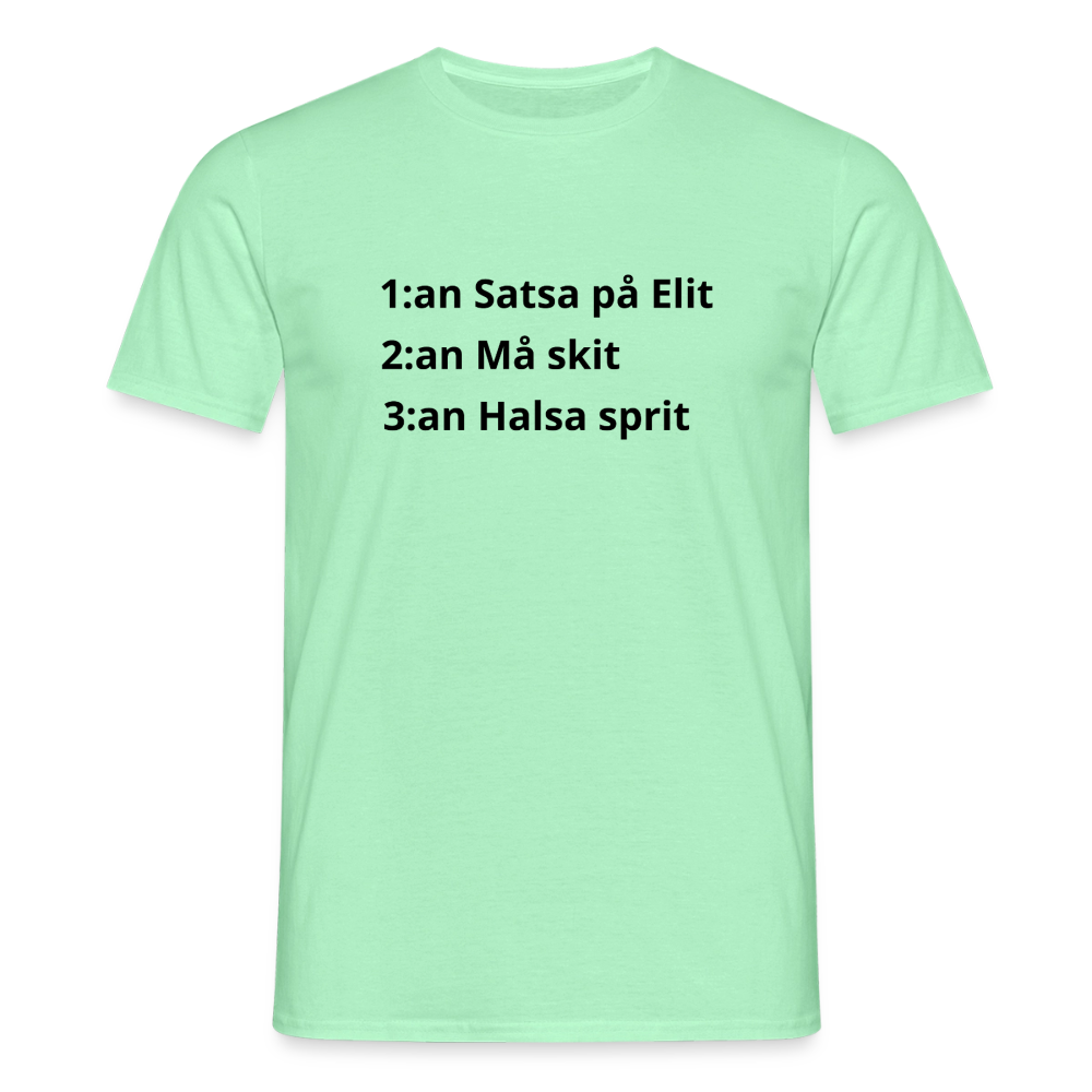 1-3:an T-shirt herr - mintgrøn