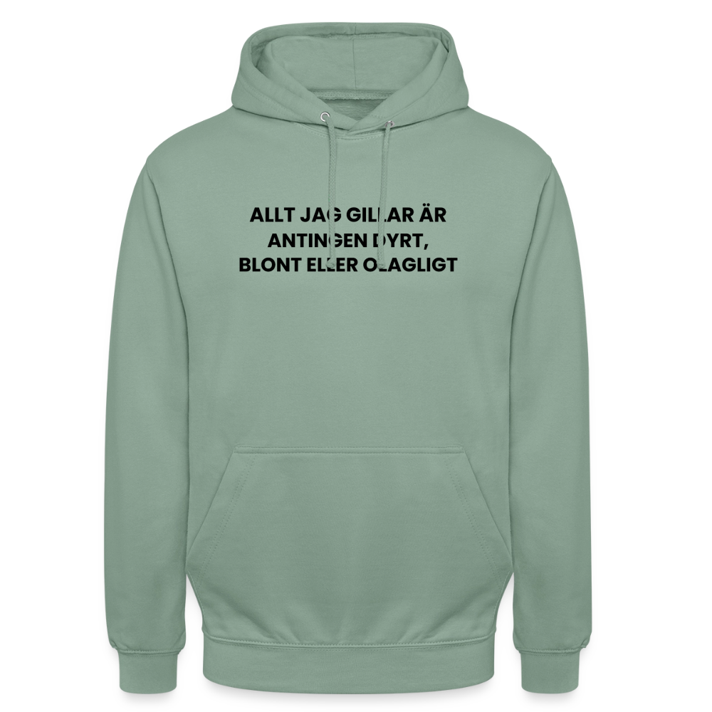 Allt jag gillar är antingen dyrt, blont eller olagligt Hoodie Unisex - grågrön